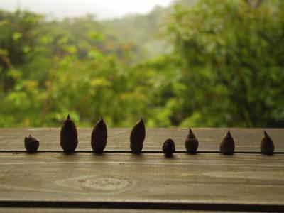 とにかくゆっくり過ごした雨の沖縄ＧＷ３日間