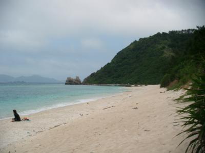 数を増やしたいとケラマ諸島に行って見ました(阿嘉島・慶留間島・外地島）