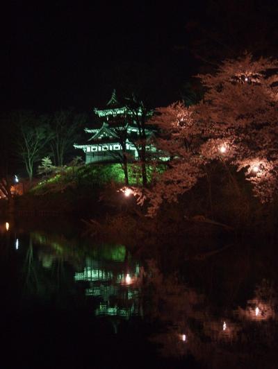 今年は夜桜☆高田公園