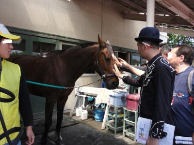 ＪＲＡｘシニアコム.ＪＰ「ビギナーズ競馬セミナー」二日目受講