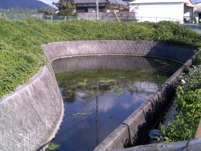 重信川わくわく泉めぐり(1) お吉泉