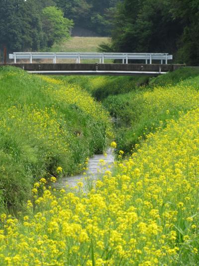 佐倉市散策（２８）・・佐倉西部を流れる手繰川を訪ねます。