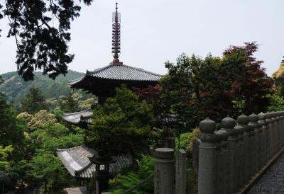 法華山一乗寺・国宝三重塔