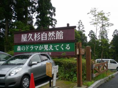 屋久島登山