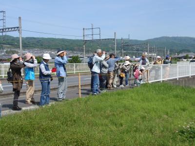 身近な場所で探鳥会・自然観察会