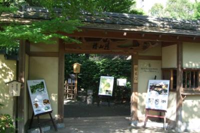 フォーシーズンズホテル椿山荘 東京☆新緑の庭園散策とアフタヌーンティ♪