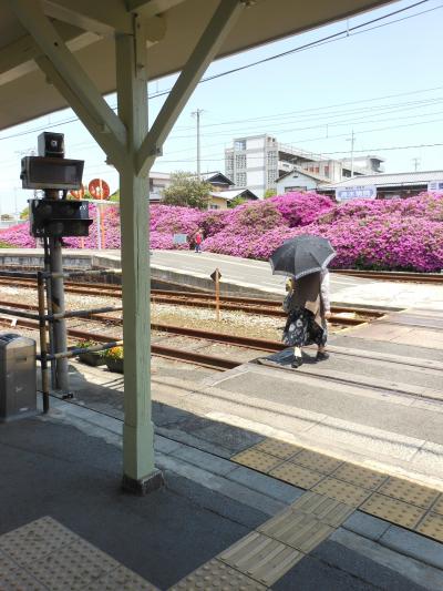 ＪＲ豊浜駅の躑躅｜平成２４年