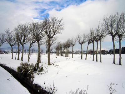 雪の田園風景を求めて