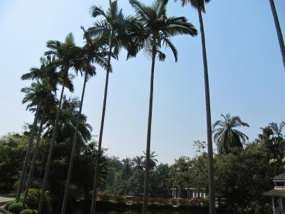 旅　中国→ラオス→中国　再び景洪