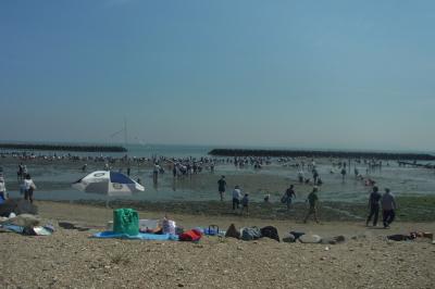 南知多で子連れ潮干狩りデビュー☆