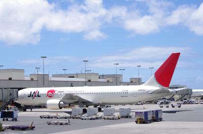 GW2回目のオアフNO8♪