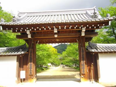 2012新緑の京都めぐり（醍醐寺、勧修寺、隋心院など）