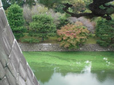 京都散策 　11秋　 ［写真版］　セレクション