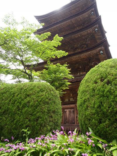 はらぺこ散歩道《瑠璃光寺五重塔in山口》