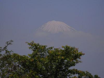 浜石岳を歩いて流れ鮨で鮨をつまむ