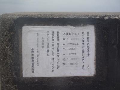 毎年恒例の潮干狩り　IN　坂井海岸