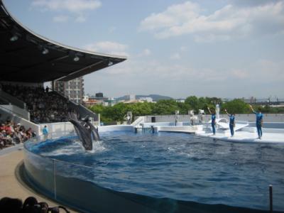 ２０１２・５・１０　京都水族館