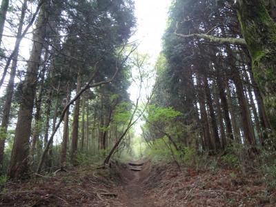 山登りシリーズ① （明神ヶ岳）