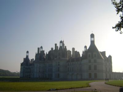 フランス旅行2010 パリと郊外の旅③ロワールの古城とルーヴル