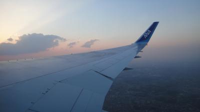 12th韓国 KTXで縦断6日目★明洞ぶらぶら~アートメーク~帰国