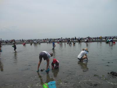 ふなばし三番瀬海浜公園