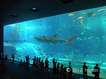 レンタカーで沖縄本島を一周してきました。
