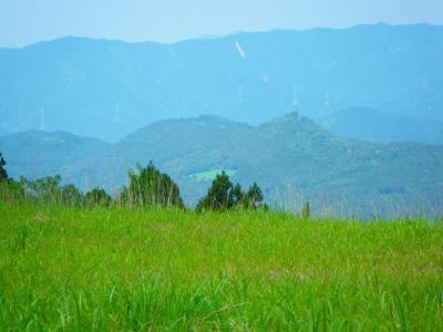 初遭遇　特別天然記念物　日本カモシカ　春埜山　