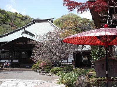 鎌倉　海蔵寺 
