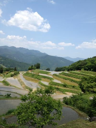 バリ島ウブドみたい(^o^)♪高知の棚田は田植え真っ最中！早明浦ダムにも寄り道してきたよ♪