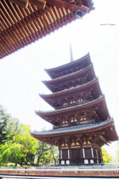 うまし うるわし、あをによし。 2日目　② [『ハラヘリヘリ奈良、地団駄踏み踏み。』　興福寺～新薬師寺へ]