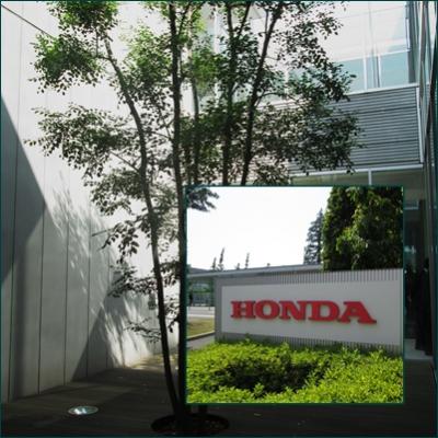 2012ホンダ倶楽部総会･懇親会　Honda Club annual meeting/party
