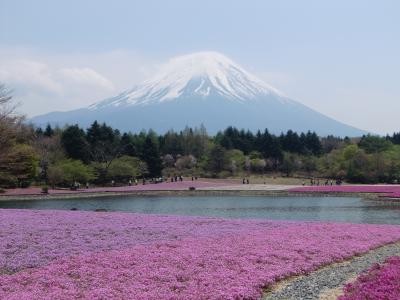 忘れてた本栖湖の風景は、千円札の裏だった。。。