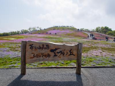 茶臼山高原 天空の花回廊