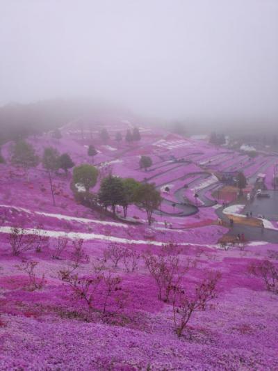 北海道4つのお花畑巡りと絶景の襟裳岬