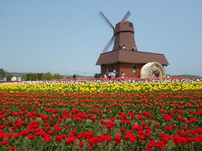 上湧別チューリップ公園