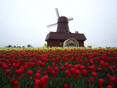 春の道東*１*≪上湧別チューリップ公園＆ところ遺跡の森≫