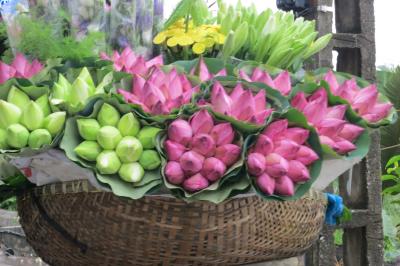 2度目のハノイ　雨の日の過ごし方