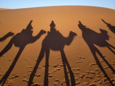 モロッコ旅行☆　メルズーガ大砂丘で朝日 & フェズへ向かう…