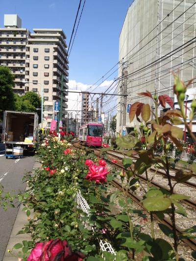 バラの香りの東京、大塚