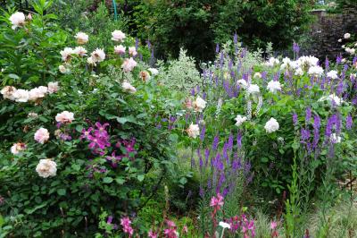 花菜ガーデン：ローズフェスティバル　バラ満開の庭園を散策