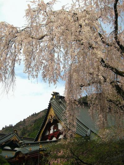 12年春、家族で「船山温泉」さんへ泊まろう！