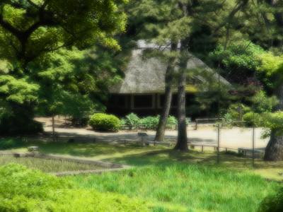 連続投与が効果的、２日連続東京散歩「小石川後楽園～神楽坂」　