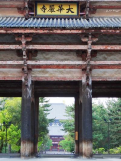 うまし うるわし、あをによし。 2日目 ③ [カクカクシカジカ、東の大寺・東大寺へ]