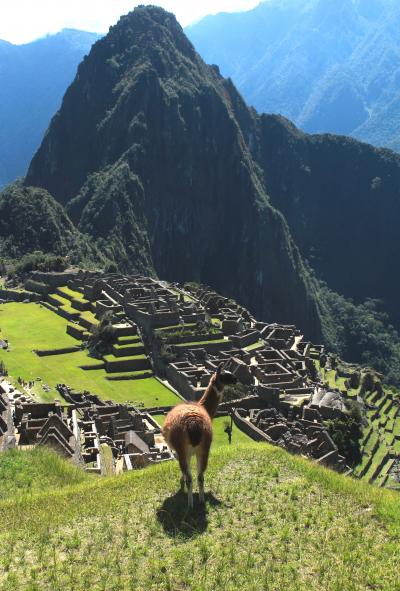 あこがれ続けた『遥かなるペルー』の旅　光と影とインカ帝国。。。　　ダイジェスト編（後編・マチュピチュ&インカ道、プーノ・チチカカ湖ウロス島、リマ）