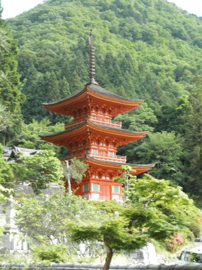 御室真言宗　真木山長福寺　朱の三重塔のある風景