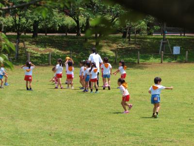 ２０１２　初夏　荒川散歩　足立都市農業公園　花達　上