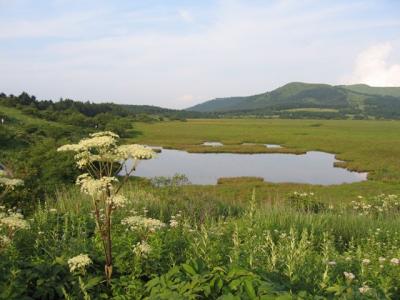 ビーナスラインドライブ旅行　蓼科・車山高原　その１