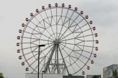 2012梅雨、刈谷ハイウェイオアシス：観覧車、アジサイ、ハクセキレイ