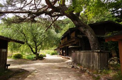 てくてく木曽路~癒しの1dayトリップ~