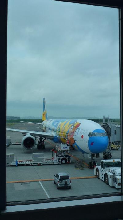 誕生日プレゼントで北海道《千歳》へＧＯ【千歳⇒福岡の復路はポケモンジェットだった！編】（２０１２年６月）